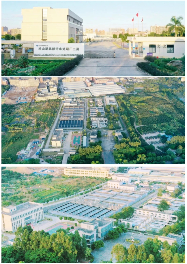 微信截图_20241225094655.png